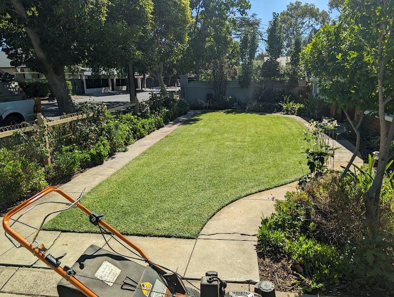 GardenMod lawn care work in North Adelaide