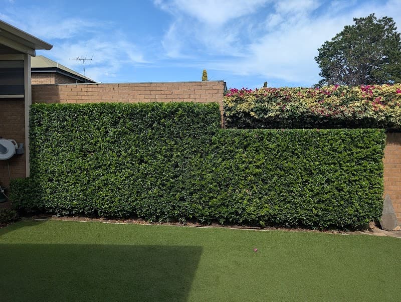GardenMod lawn care work in North Adelaide