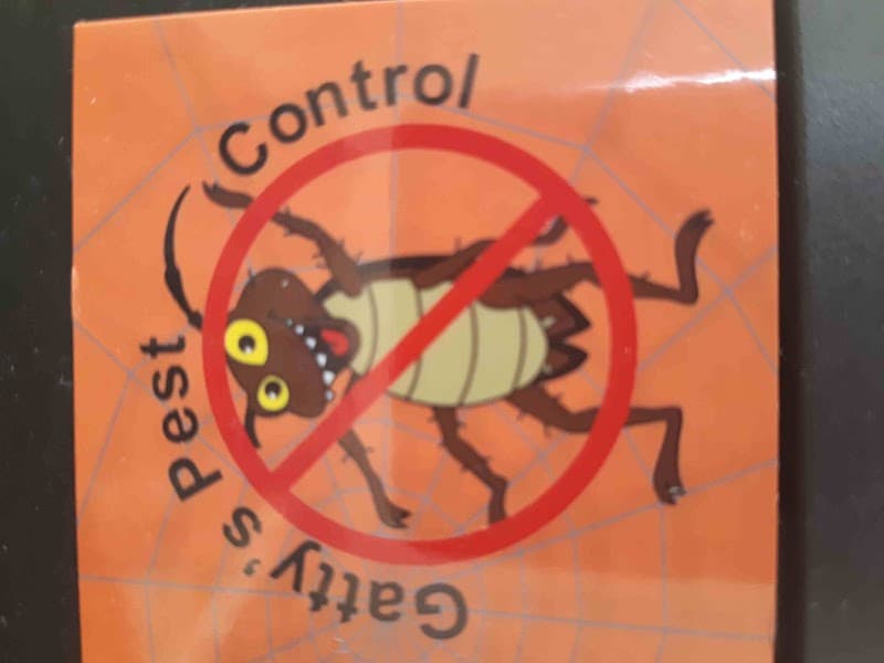 Gattys Pest Control pest control work in Evanston Park