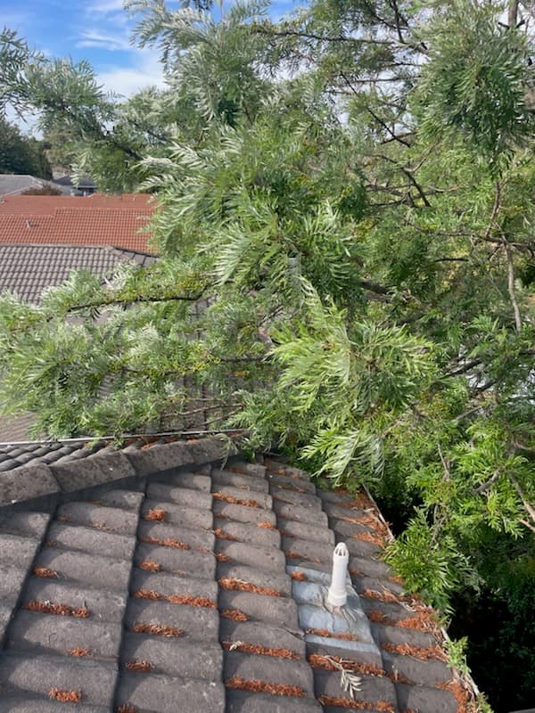 Gav's Gutter Cleaning gutter cleaning work in Croydon