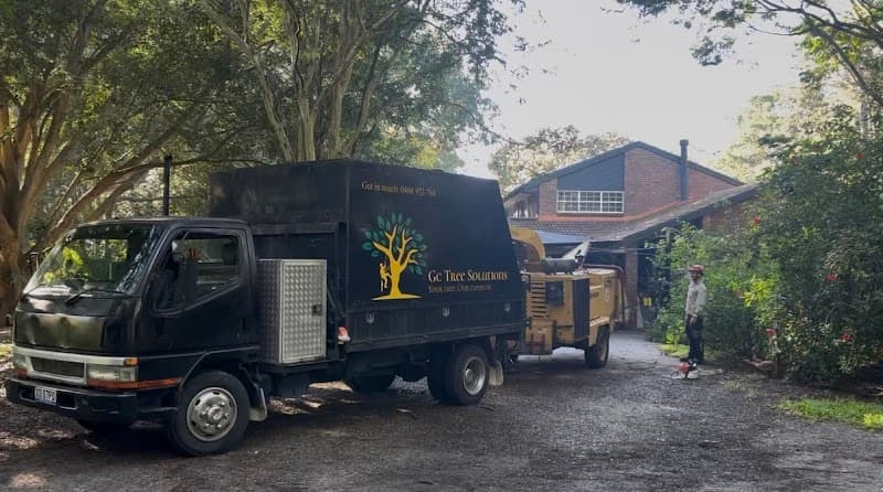 GC Tree Solutions tree services work in Ashmore