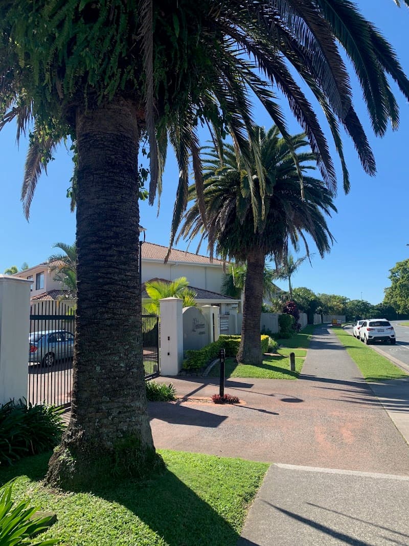 GC Tree Solutions tree services work in Ashmore