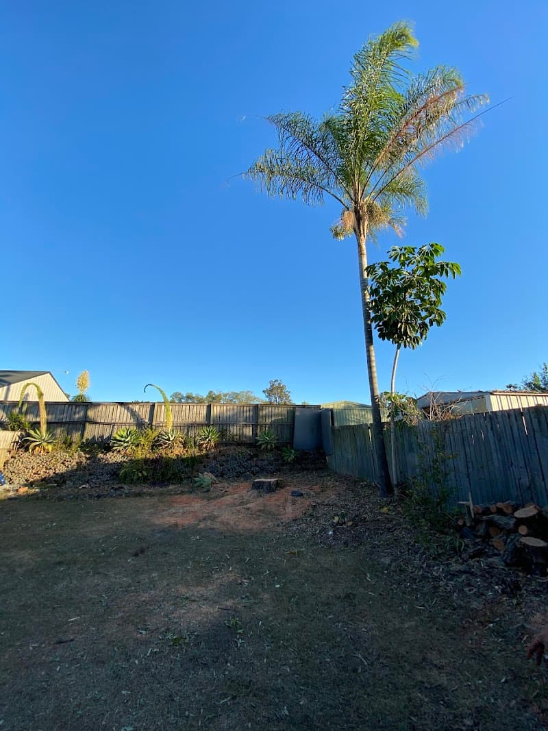 GC Tree Solutions tree services work in Ashmore