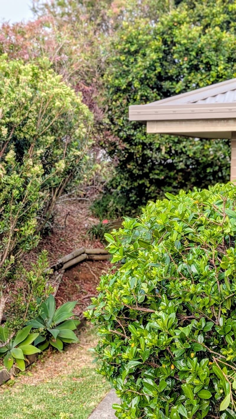 GD's Mowing and Garden Maintenance lawn care work in Port Macquarie