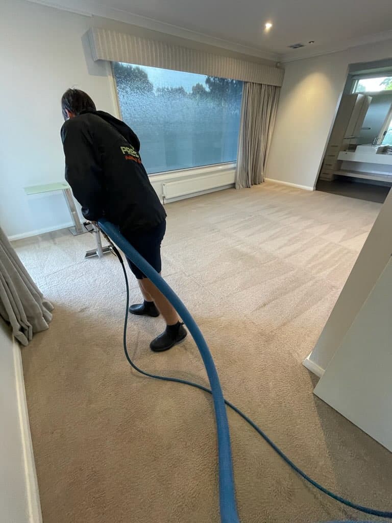 Geelong Prestige Cleaning Company carpet cleaning work in Geelong