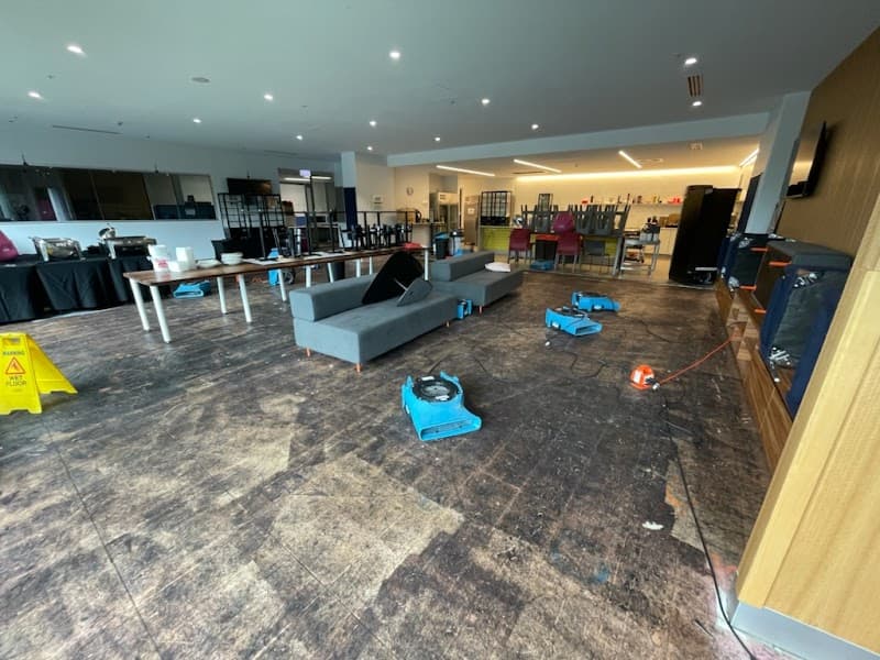 Geelong Prestige Cleaning Company carpet cleaning work in Geelong