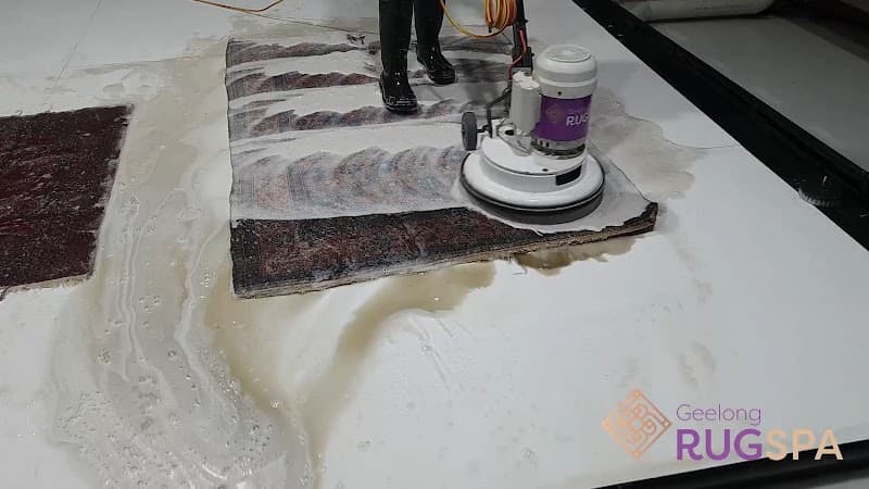 Geelong Rug Spa carpet cleaning work in Breakwater