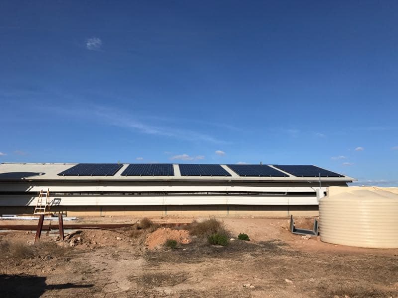 Generate Energy solar panel installation work in Pooraka