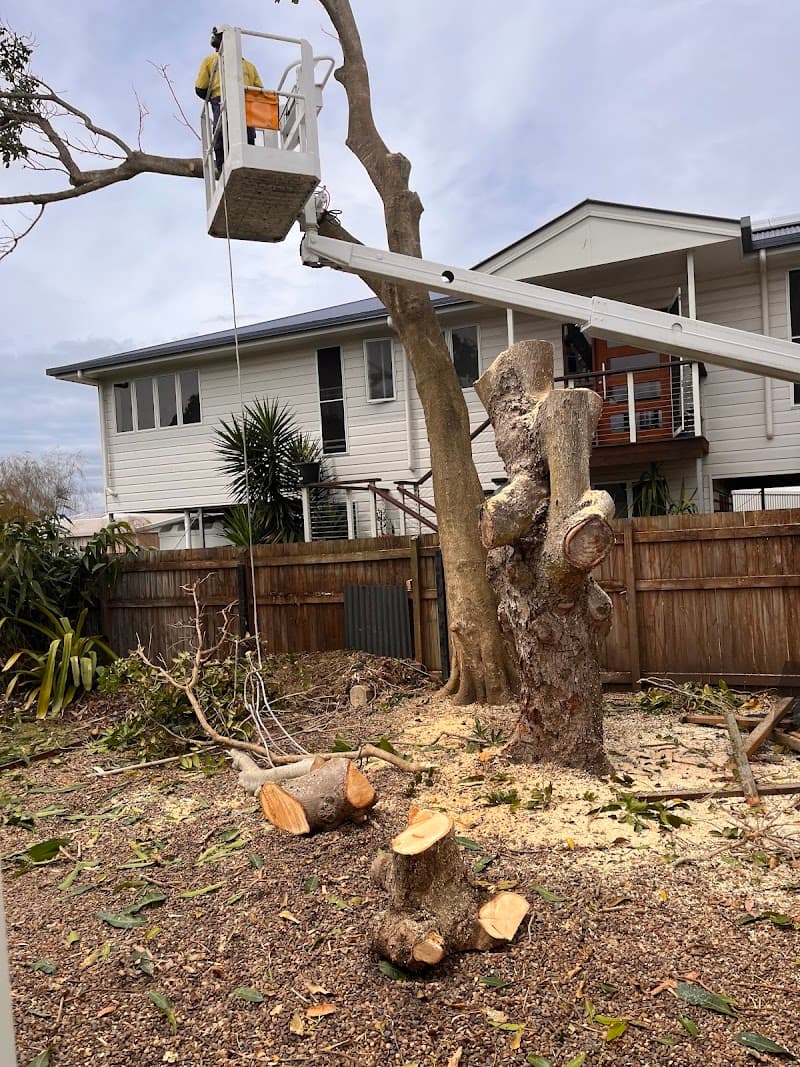 Geoffs Tree Lopping Hervey Bay tree services work in Pialba