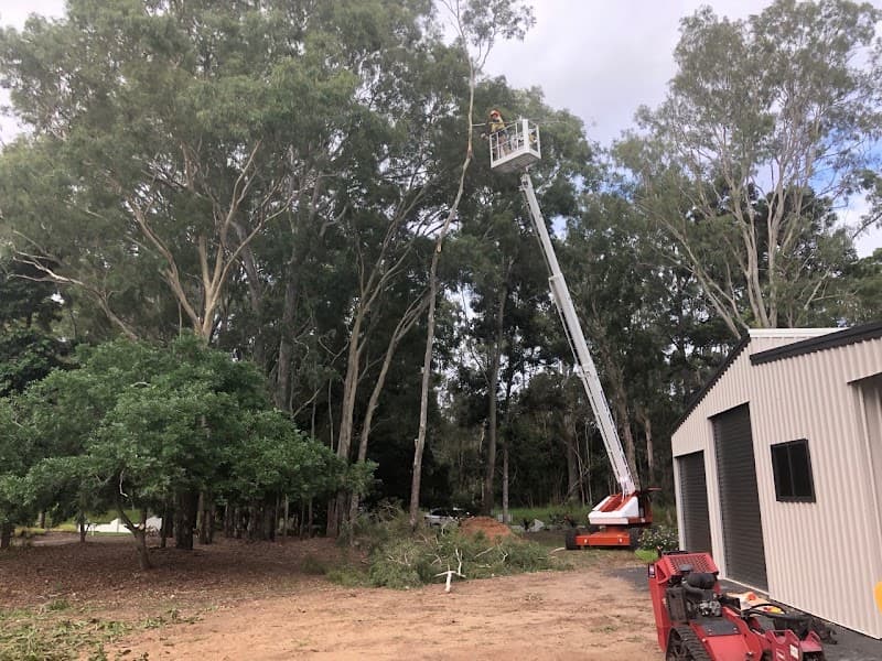 Geoffs Tree Lopping Hervey Bay tree services work in Pialba
