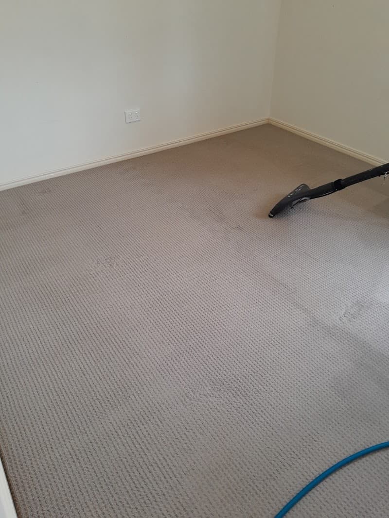 George carpet and pest control Ipswich carpet cleaning work in Deebing Heights