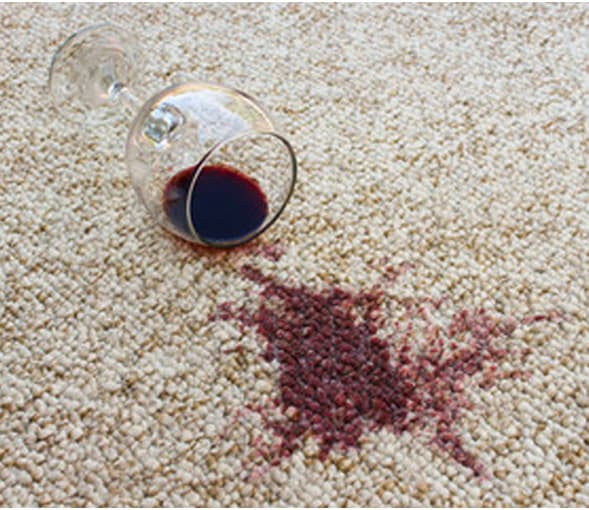 George carpet and pest control Ipswich carpet cleaning work in Deebing Heights
