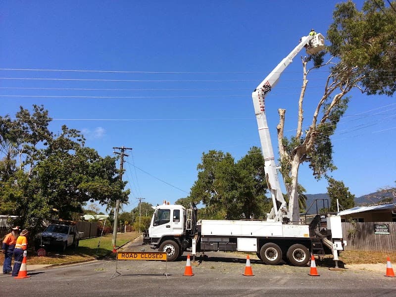 GFM Trees Pty Ltd tree services work in Bungalow
