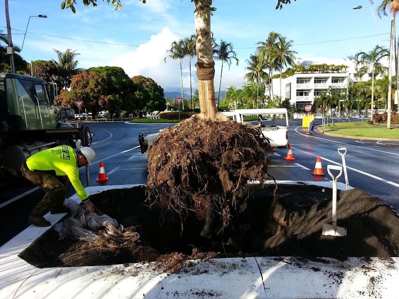 GFM Trees Pty Ltd tree services work in Bungalow