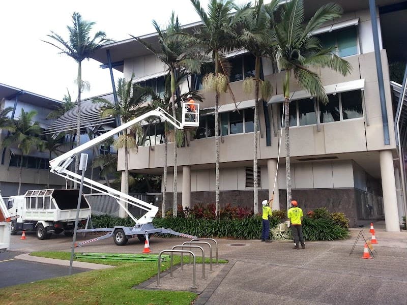 GFM Trees Pty Ltd tree services work in Bungalow