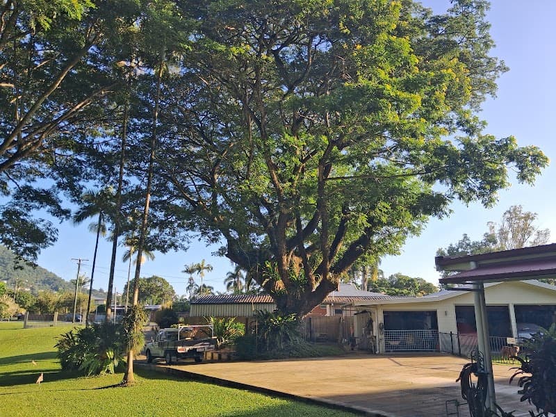GFM Trees Pty Ltd tree services work in Bungalow