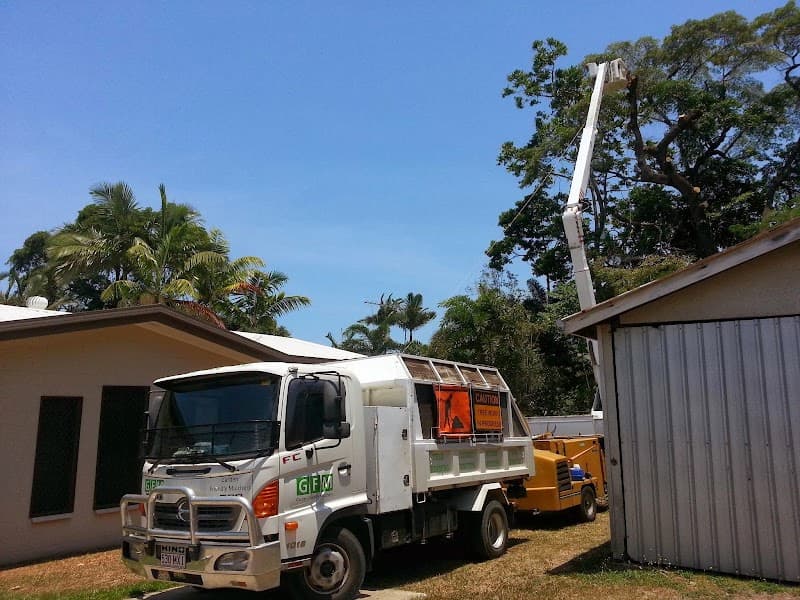GFM Trees Pty Ltd tree services work in Bungalow