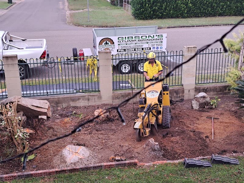 Gibsons Stump Grinding tree services work in Deeragun