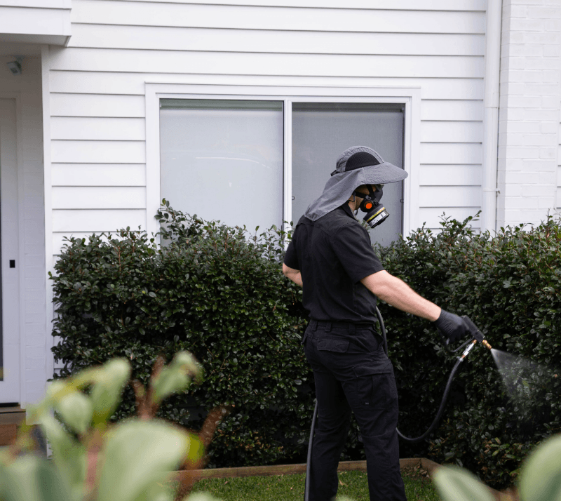Gladiator Pest Solutions pest control work in Gymea