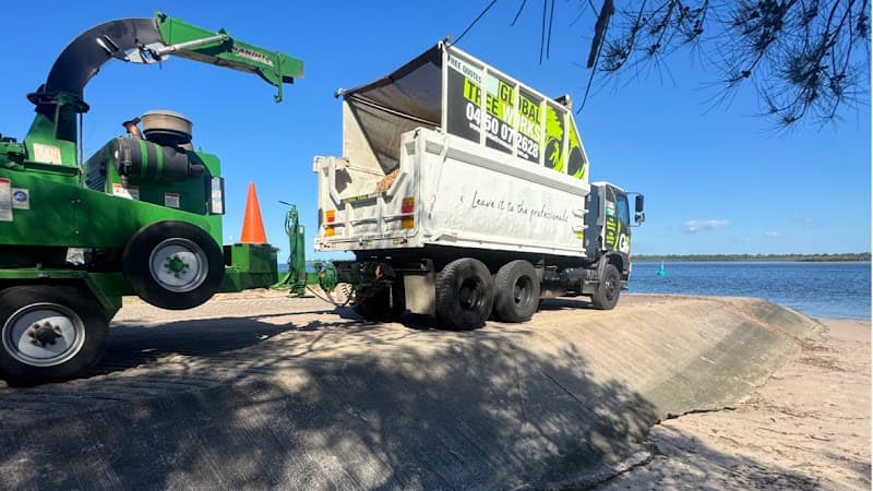 Global Tree Works tree services work in Araluen