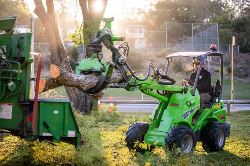 Global Tree Works tree services work in Araluen
