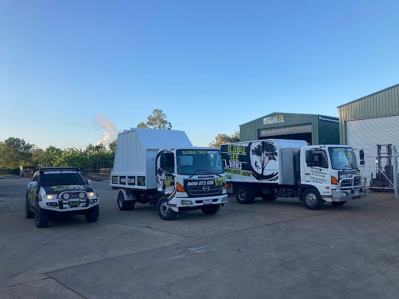 Global Tree Works tree services work in Araluen