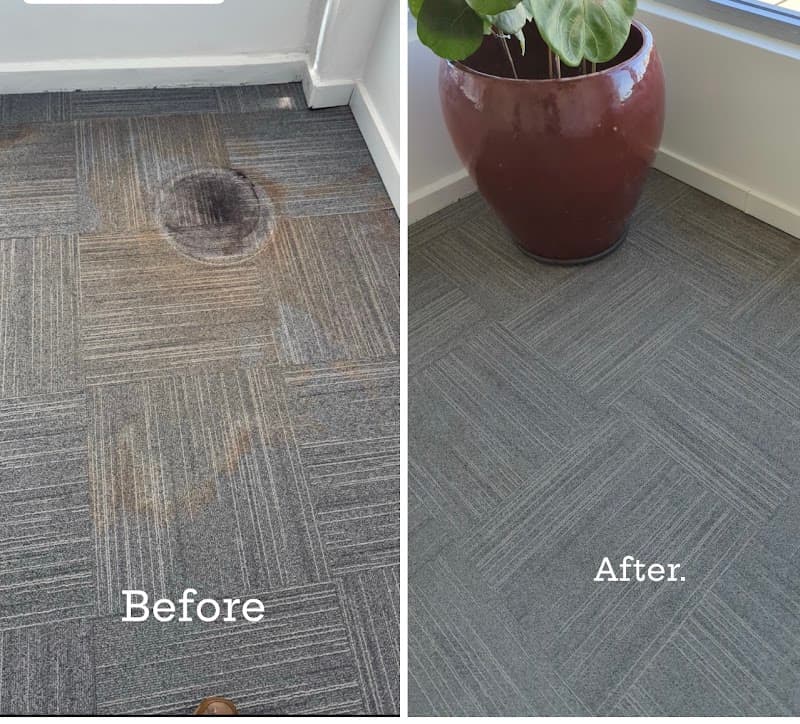 GM Carpet Cleaning carpet cleaning work in Mandurah