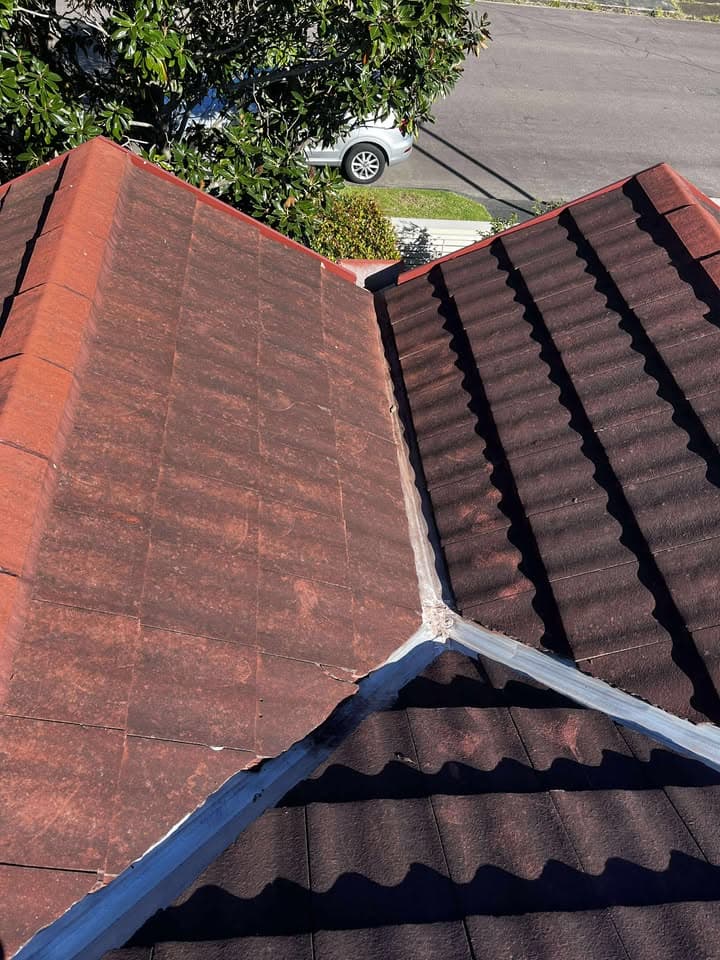 GMC Gutter Cleaning & House Maintenance gutter cleaning work in Speers Point