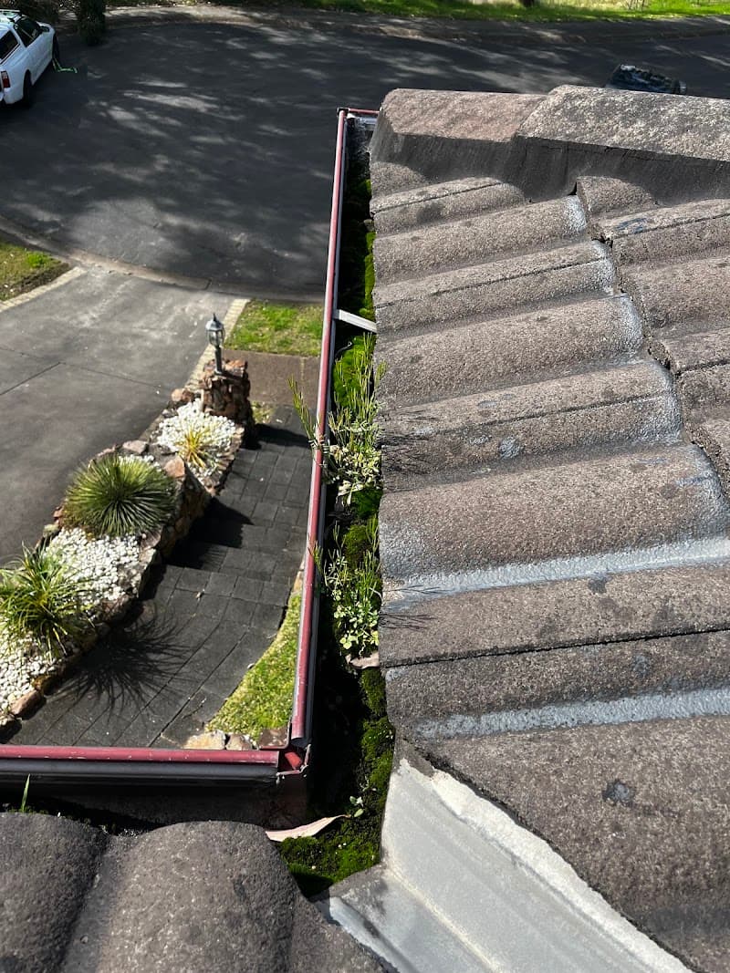 GMC Gutter Cleaning & House Maintenance gutter cleaning work in Speers Point