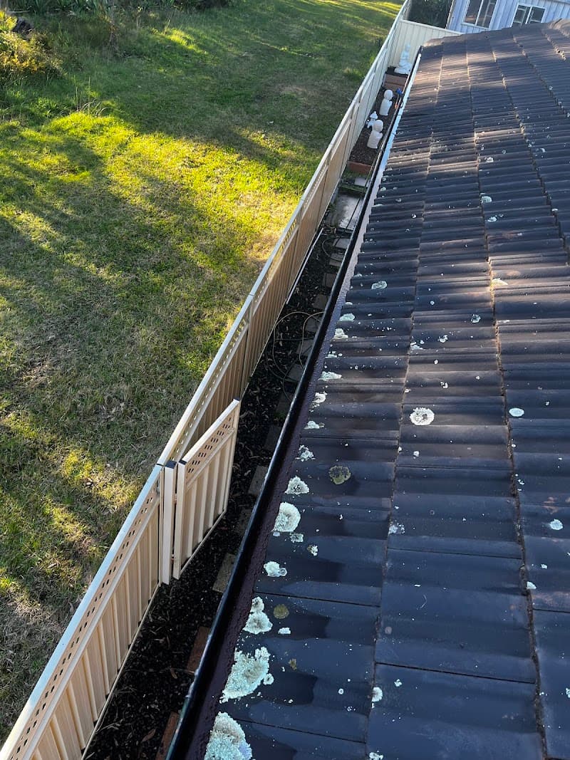 GMC Gutter Cleaning & House Maintenance gutter cleaning work in Speers Point