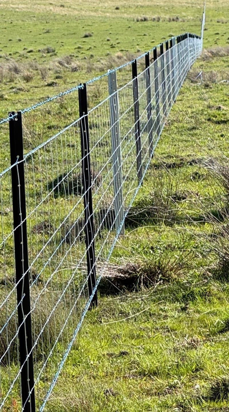 GMT Fencing fencing work in Garran