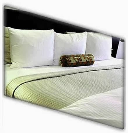 Go Clean Carpet Cleaning carpet cleaning work in Adelaide