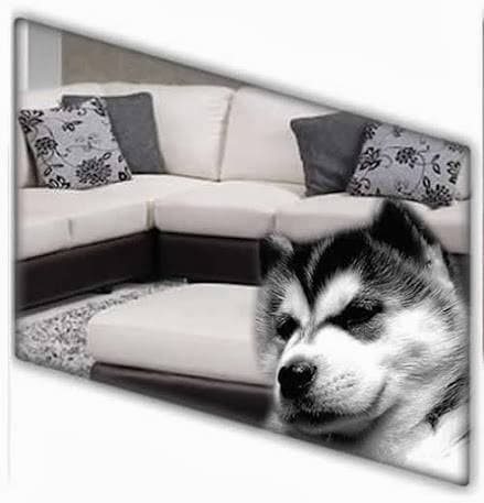 Go Clean Carpet Cleaning carpet cleaning work in Adelaide