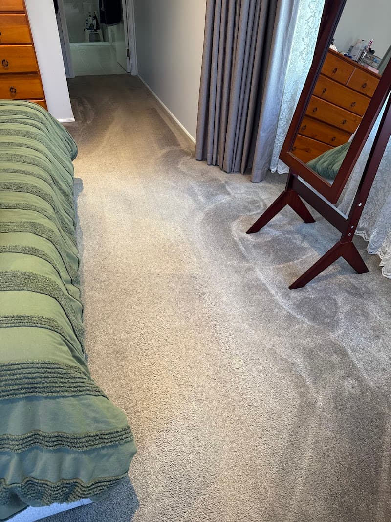 Go Green Carpet Clean carpet cleaning work in Mascot