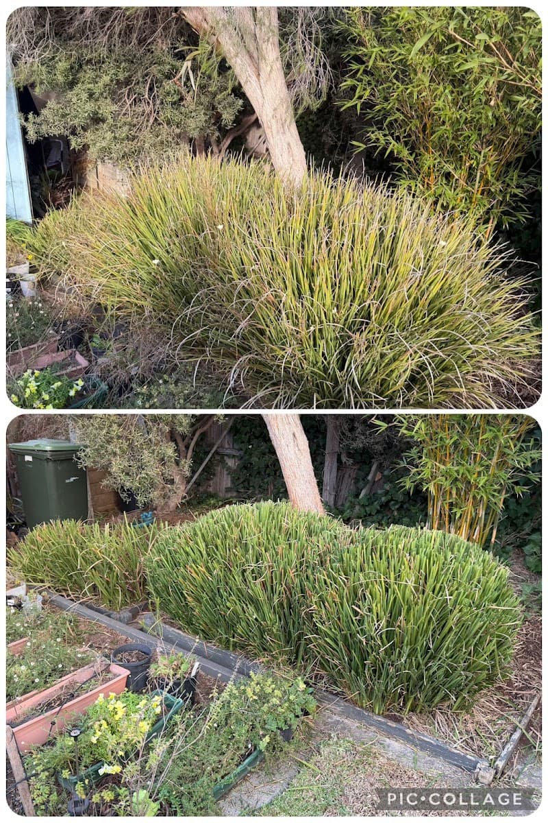 Godfrey Garden & Mowing Geelong lawn care work in Grovedale