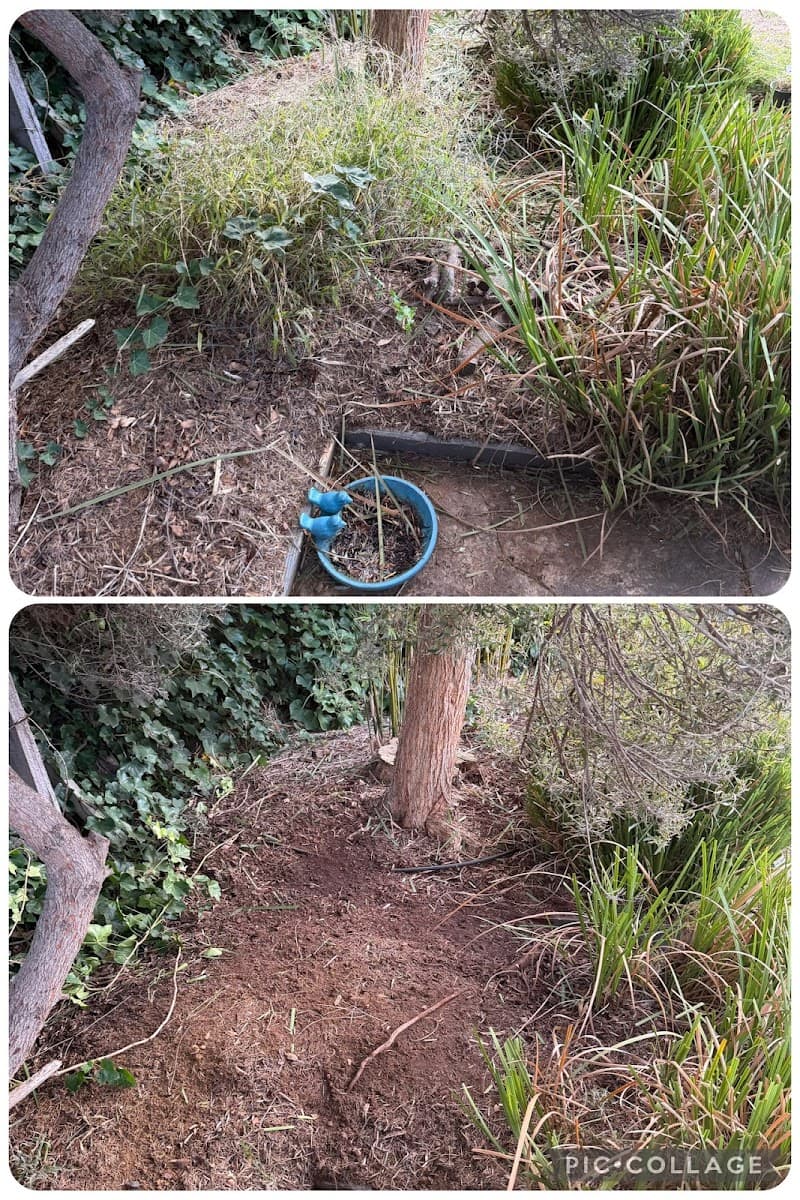 Godfrey Garden & Mowing Geelong lawn care work in Grovedale
