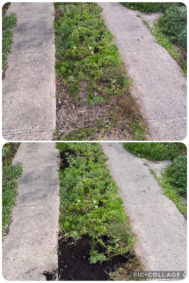 Godfrey Garden & Mowing Geelong lawn care work in Grovedale