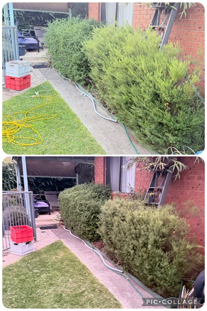 Godfrey Garden & Mowing Geelong lawn care work in Grovedale