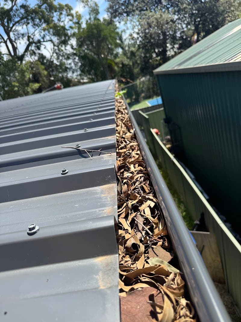 Godfreys Gutter Cleaning & Tree Services gutter cleaning work in Medowie