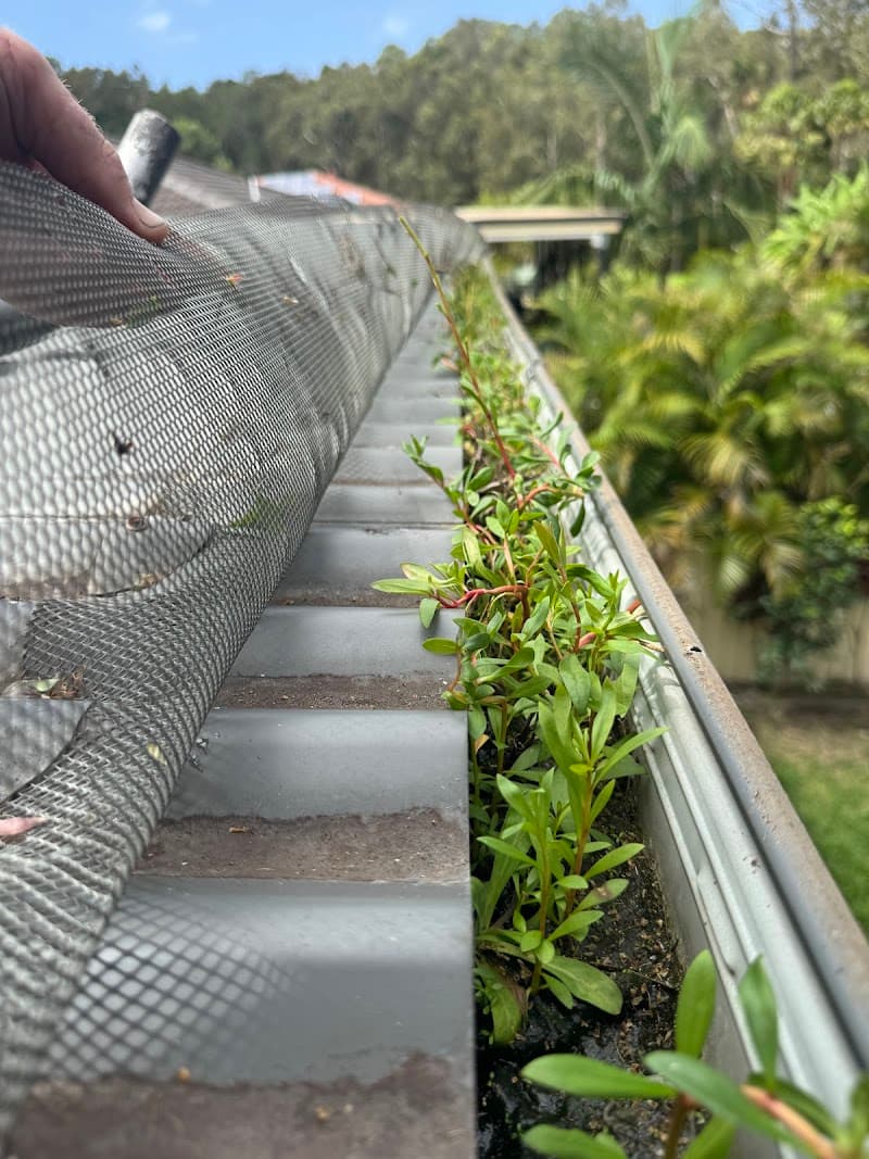 Godfreys Gutter Cleaning & Tree Services gutter cleaning work in Medowie