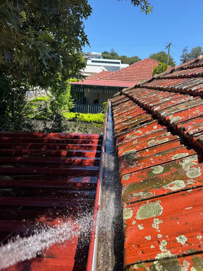 Godfreys Gutter Cleaning & Tree Services gutter cleaning work in Medowie