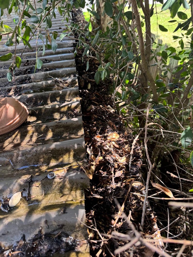 Godfreys Gutter Cleaning & Tree Services gutter cleaning work in Medowie