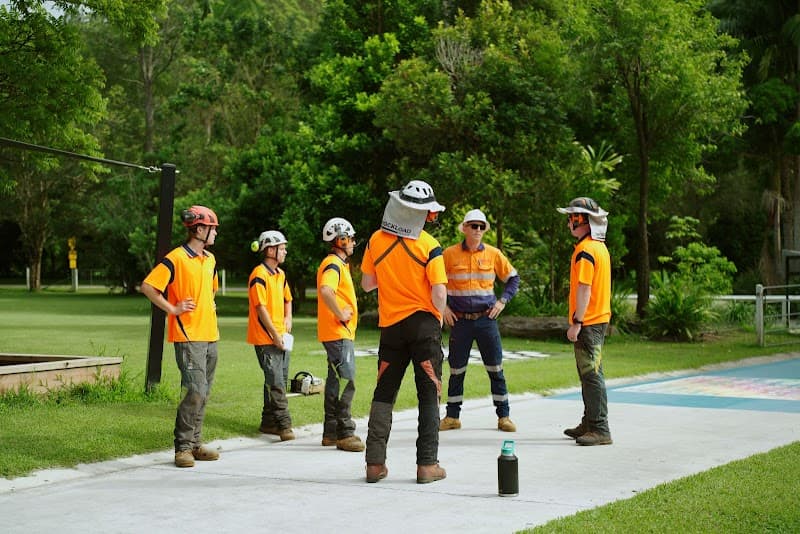 Gold Coast Arborists tree services work in Burleigh Heads