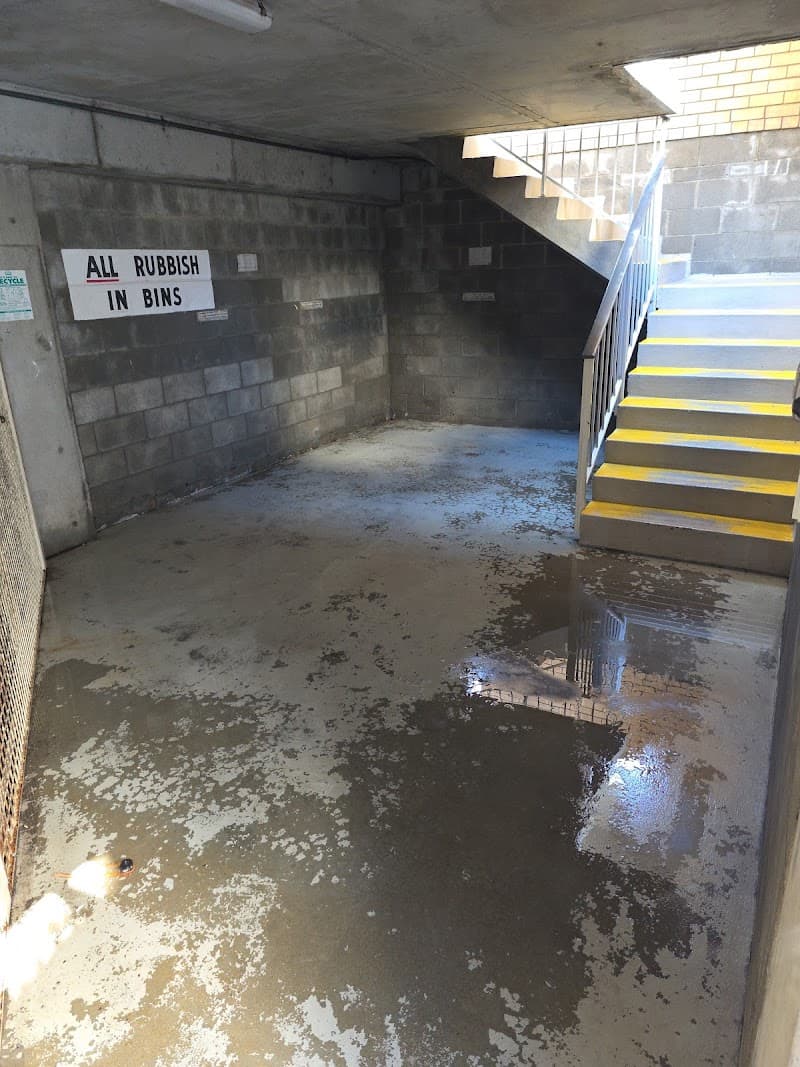 Gold Coast Pressure Cleaner pressure washing work in Palm Beach