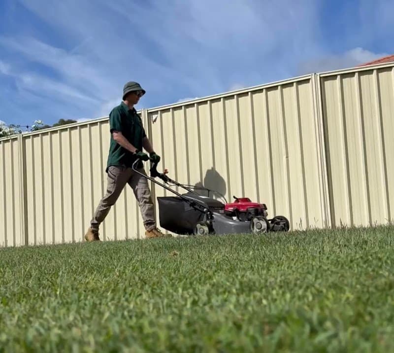 Golden Cane lawns lawn care work in Wellington Point