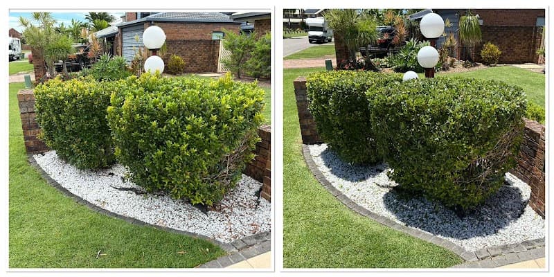 Golden Cane lawns lawn care work in Wellington Point