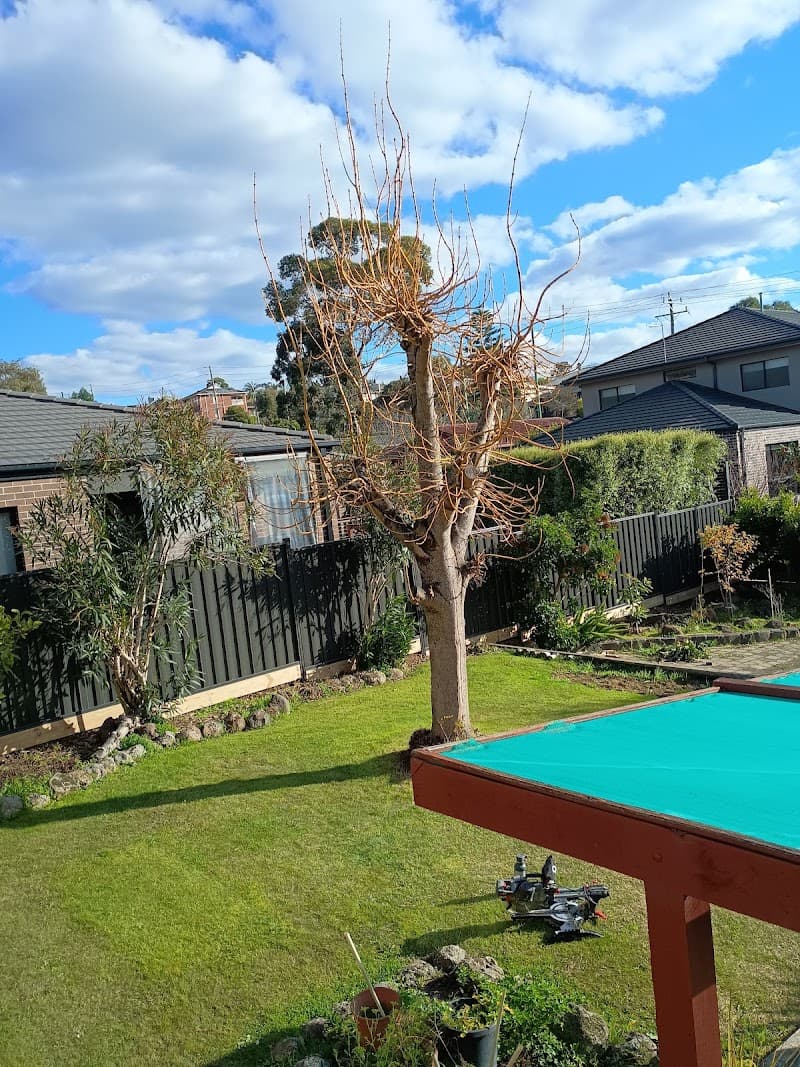 Golden fence fencing work in Dandenong South