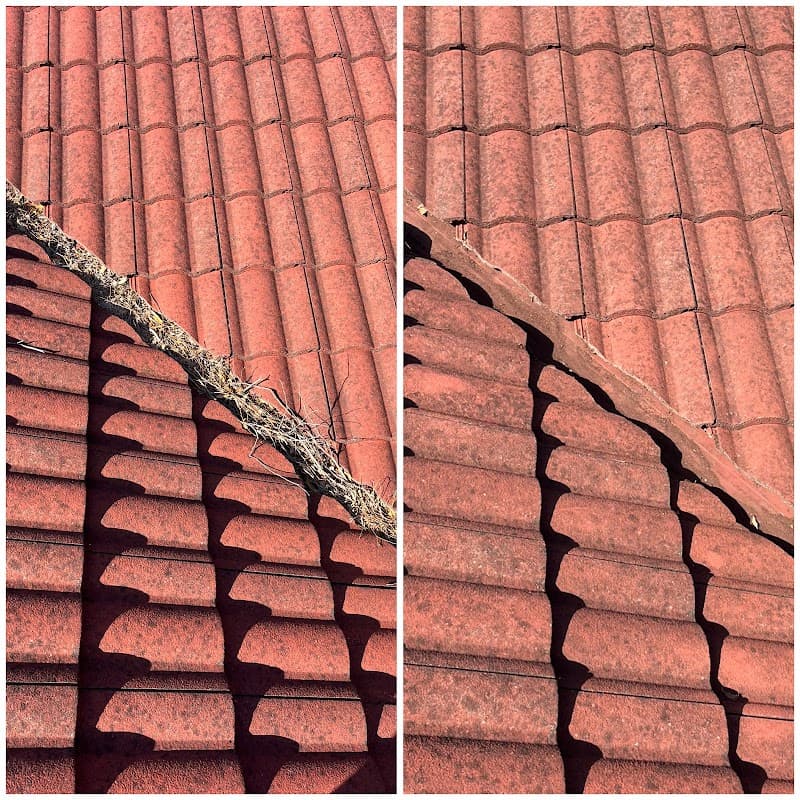 Golden Leaf Gutter Cleaning gutter cleaning work in Blakehurst