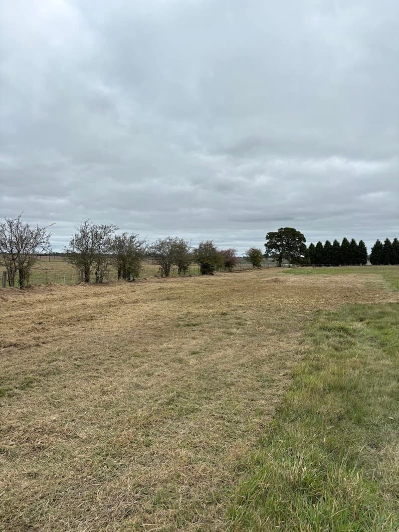 Goldfields Environmental tree services work in Redan