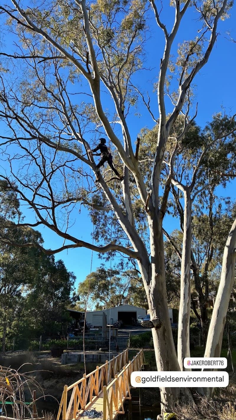 Goldfields Environmental tree services work in Redan